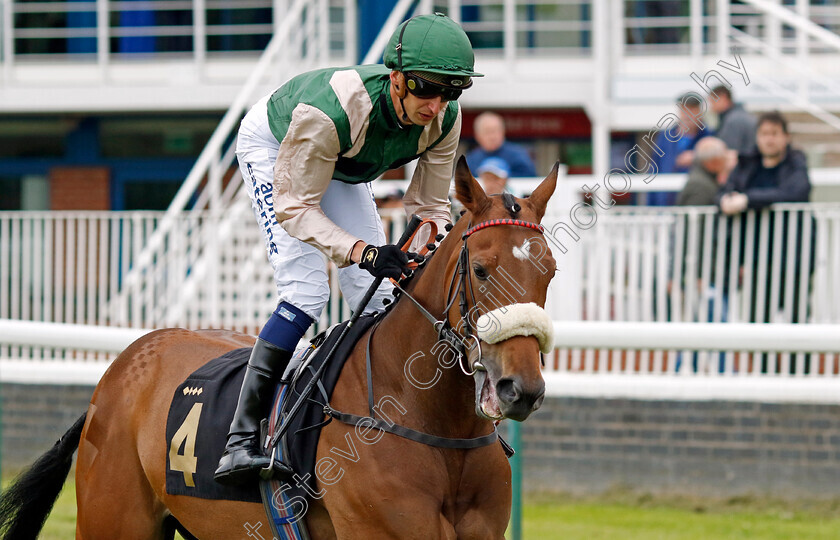 Twilight-Jazz-0001 
 TWILIGHT JAZZ (Alistair Rawlinson)
Nottingham 30 May 2023 - Pic Steven Cargill / Racingfotos.com