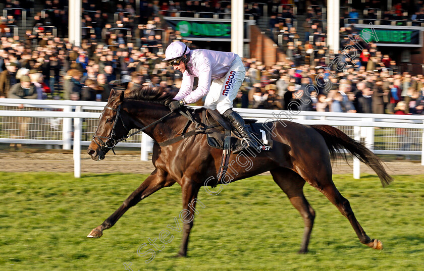 North-Hill-Harvey-0003 
 NORTH HILL HARVEY (Harry Skelton) wins The Racing Post Arkle Trophy Trial Novices Chase Cheltenham 19 Nov 2017 - Pic Steven Cargill / Racingfotos.com