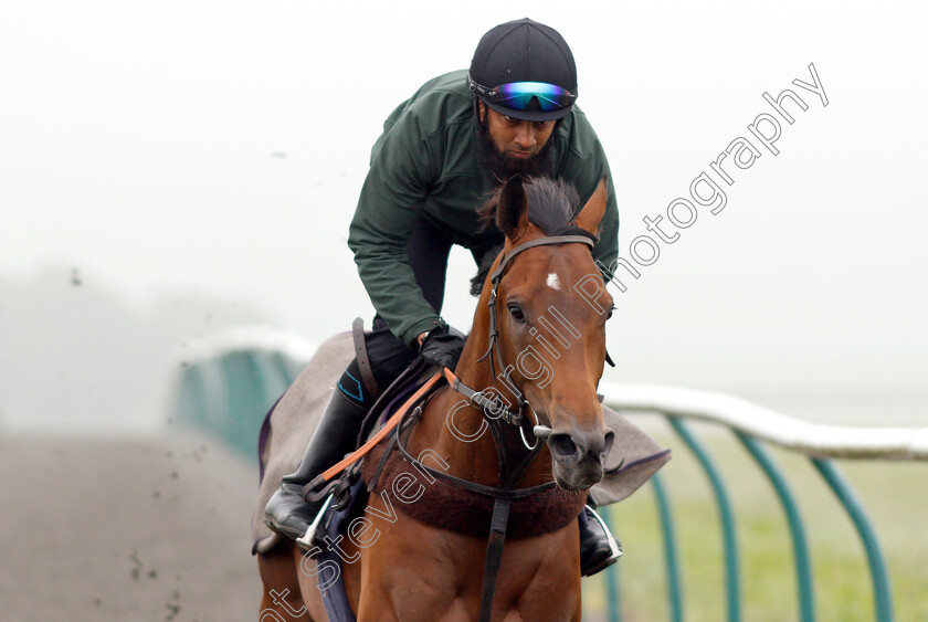 Knight-To-Behold-0007 
 KNIGHT TO BEHOLD, ridden by Mohammed Abdul Qazafi Mirza, on the gallops in preparation for The investec Derby
Lambourn 31 May 2018 - Pic Steven Cargill / Racingfotos.com