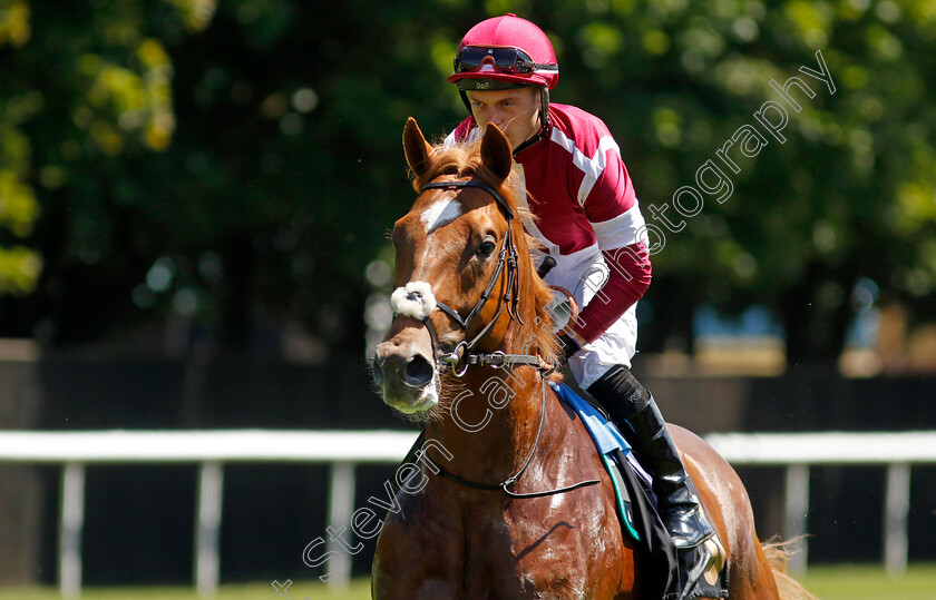 Ezaj-0002 
 EZAJ (Ray Dawson)
Newmarket 8 Jul 2022 - Pic Steven Cargill / Racingfotos.com