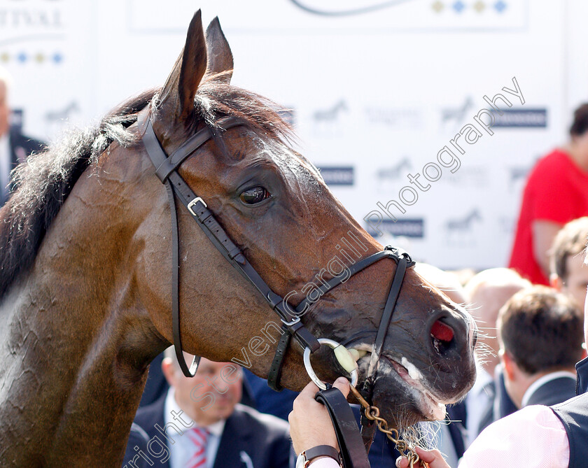 Forever-Together-0013 
 FOREVER TOGETHER after The Investec Oaks
Epsom 1 Jun 2018 - Pic Steven Cargill / Racingfotos.com