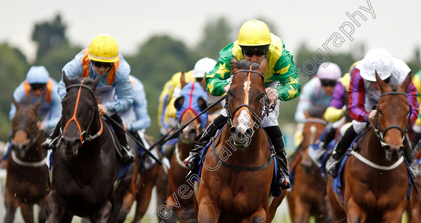 Recon-Mission-0007 
 RECON MISSION (Robert Winston) wins The Pavers Foundation Catherine Memorial Sprint Handicap
York 15 Jun 2019 - Pic Steven Cargill / Racingfotos.com