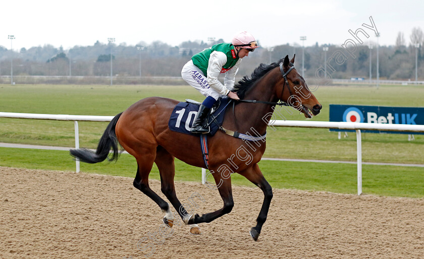 Sir-Oliver-0001 
 SIR OLIVER (Adam Farragher)
Wolverhampton 9 Mar 2024 - Pic Steven Cargill / Racingfotos.com