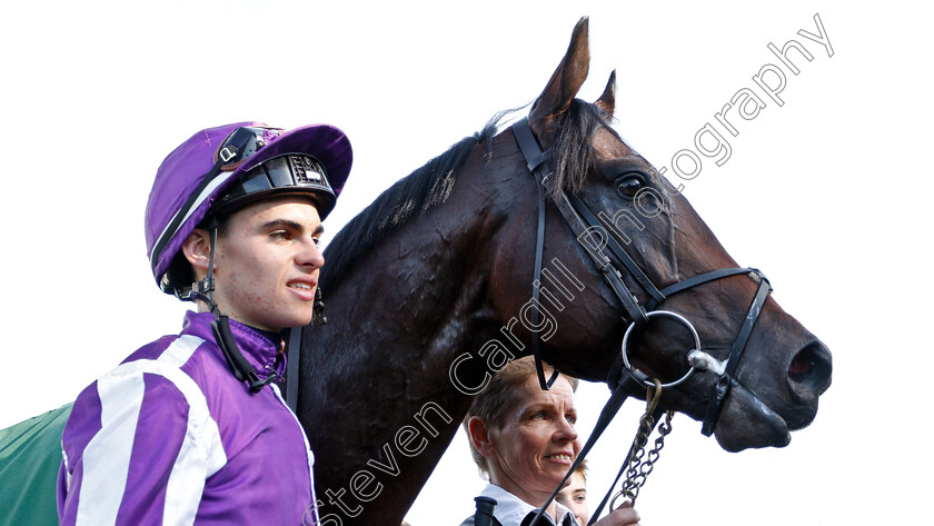 Ten-Sovereigns-0013 
 TEN SOVEREIGNS (Donnacha O'Brien) after The Juddmonte Middle Park Stakes
Newmarket 29 Sep 2018 - Pic Steven Cargill / Racingfotos.com