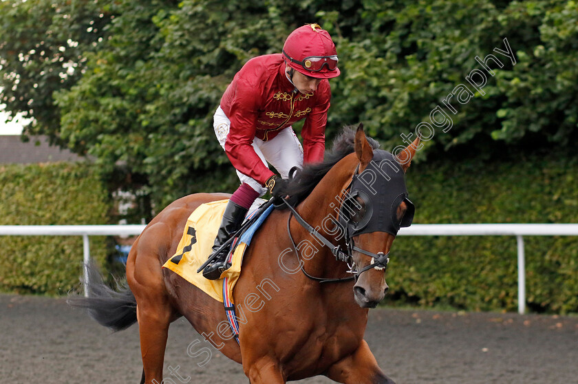 Sword-0001 
 SWORD (Oisin Murphy)
Kempton 7 Aug 2024 - Pic Steven Cargill / Racingfotos.com