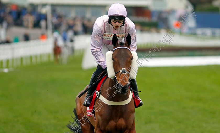 Harper s-Brook-0010 
 HARPER'S BROOK (Ben Jones) winner of The Virgin Bet Every Saturday Money Back Handicap Chase
Sandown 3 Feb 2024 - Pic Steven Cargill / Racingfotos.com