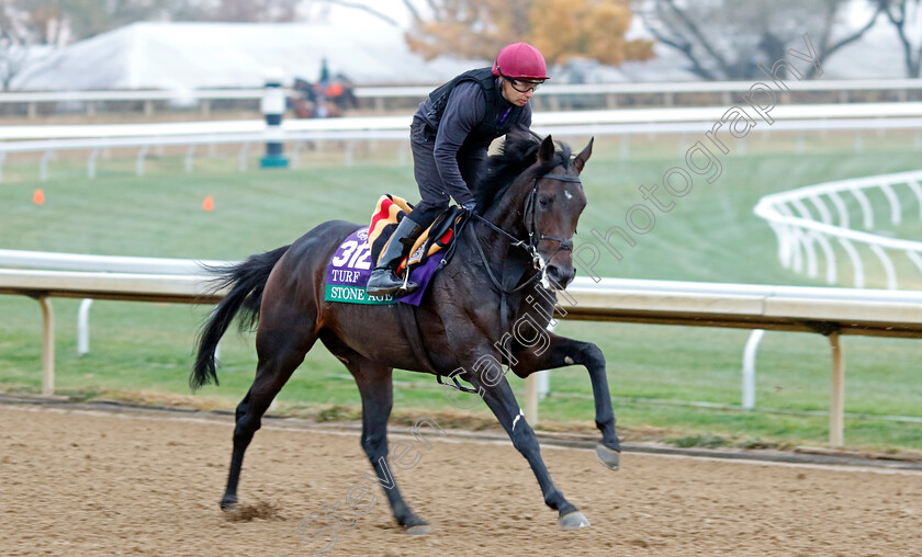 Stone-Age-0001 
 STONE AGE training for the Breeders' Cup Turf
Keeneland USA 2 Nov 2022 - Pic Steven Cargill / Racingfotos.com