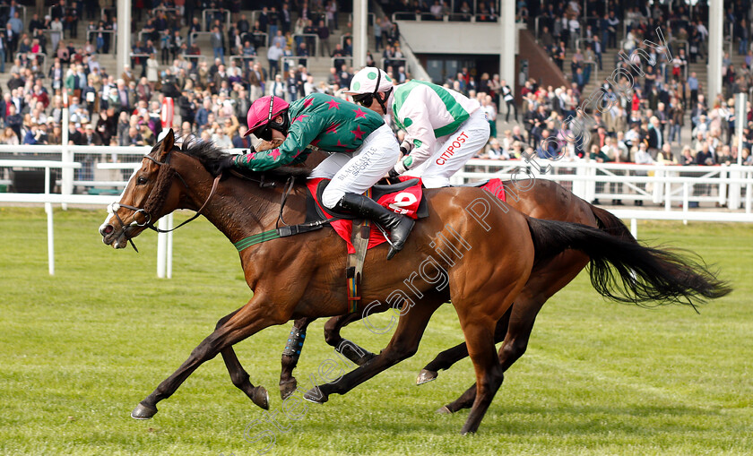 Mister-Whitaker-0006 
 MISTER WHITAKER (Jonathan Burke) wins The Cure Parkinson's And Hambo Foundation Silver Trophy Chase
Cheltenham 17 Apr 2019 - Pic Steven Cargill / Racingfotos.com