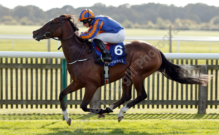 Just-Wonderful-0008 
 JUST WONDERFUL (Ryan Moore) wins The Shadwell Rockfel Stakes
Newmarket 28 Sep 2018 - Pic Steven Cargill / Racingfotos.com