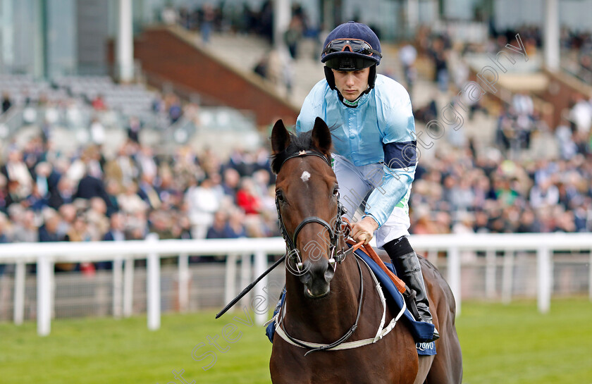 Royal-Patronage 
 ROYAL PATRONAGE (Jason Hart)
York 12 May 2022 - Pic Steven Cargill / Racingfotos.com