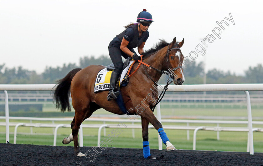 Sir-Busker-0001 
 SIR BUSKER training for the Dubai Turf
Meydan, Dubai, 21 Mar 2023 - Pic Steven Cargill / Racingfotos.com