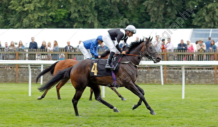 Jumbeau-0001 
 JUMBEAU (P J McDonald)
Newmarket 30 Jun 2023 - Pic Steven Cargill / Racingfotos.com