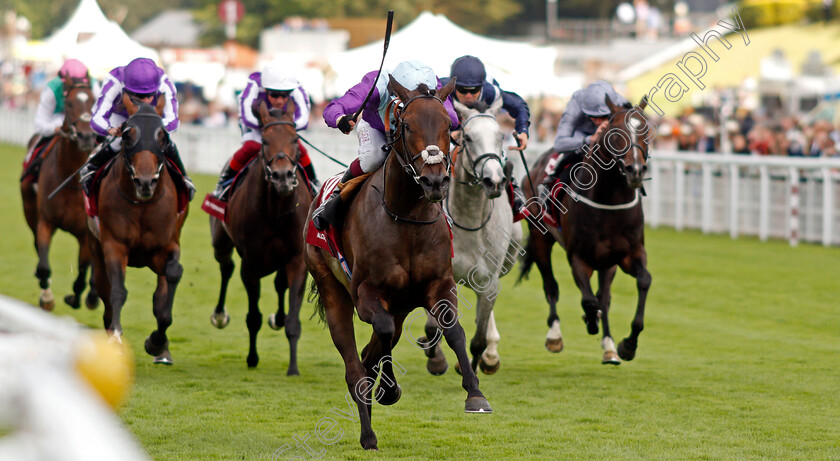 Alcohol-Free-0004 
 ALCOHOL FREE (Oisin Murphy) wins The Qatar Sussex Stakes
Goodwood 28 Jul 2021 - Pic Steven Cargill / Racingfotos.com