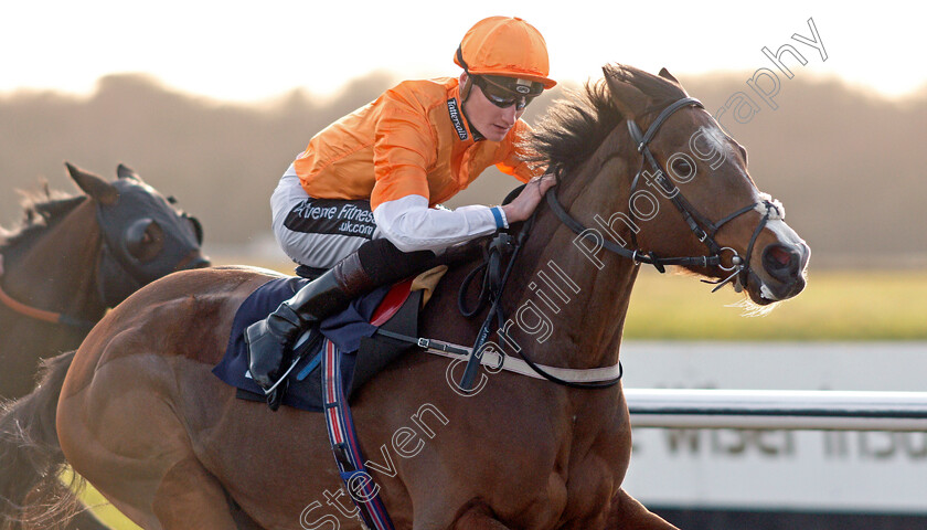 Regicide-0006 
 REGICIDE (Daniel Muscutt) wins The Betway Live Casino Handicap Lingfield 16 Feb 2018 - Pic Steven Cargill / Racingfotos.com