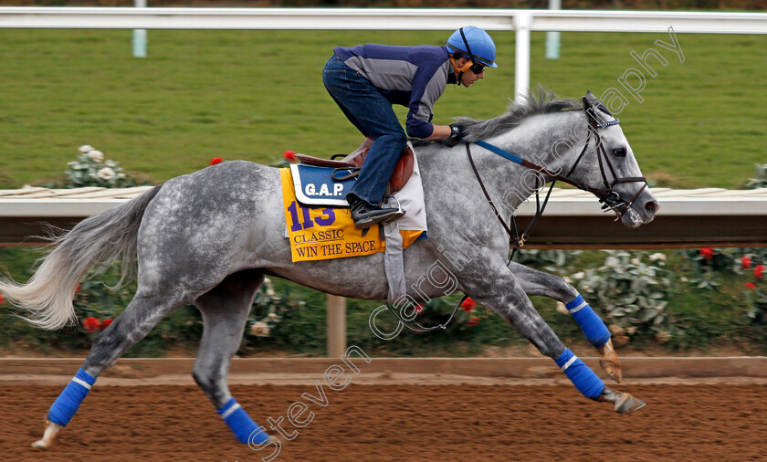 Win-The-Space-0001 
 WIN THE SPACE exercising at Del Mar USA in preparation for The Breeders' Cup Classic 30 Oct 2017 - Pic Steven Cargill / Racingfotos.com