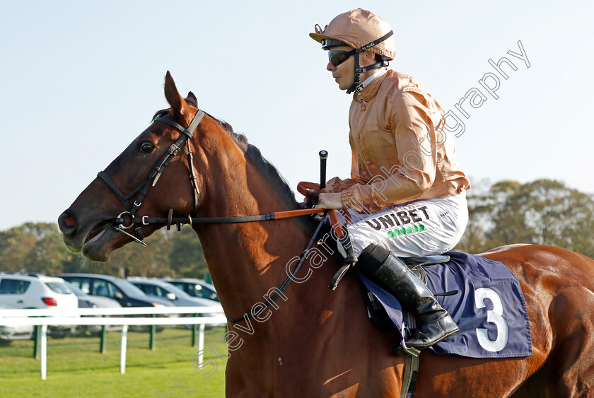 Clitheroe 
 CLITHEROE (Jamie Spencer)
Yarmouth 19 Oct 2021 - Pic Steven Cargill / Racingfotos.com