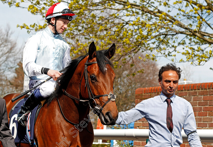 Treasure-Quest-0001 
 TREASURE QUEST (Oisin Murphy) Newmarket 17 Apr 2018 - Pic Steven Cargill / Racingfotos.com