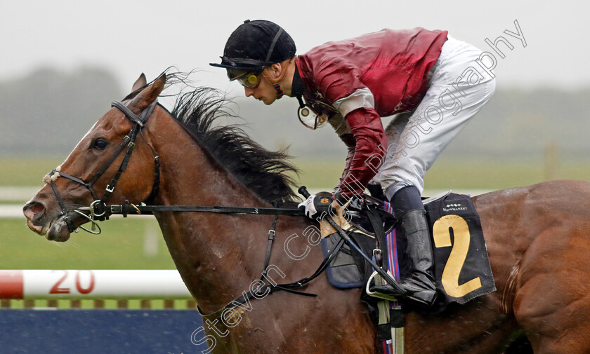 Wonder-Kid-0001 
 WONDER KID (Harry Davies) wins The Graham Budd Horseracing Memorabilia Handicap
Newmarket 26 Sep 2024 - Pic Steven Cargill / Racingfotos.com