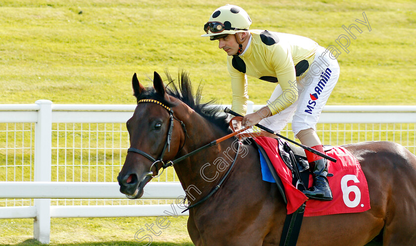 Lord-Campari-0001 
 LORD CAMPARI (Andrea Atzeni)
Sandown 30 Aug 2019 - Pic Steven Cargill / Racingfotos.com