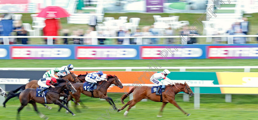 Kildare-Legend-0001 
 KILDARE LEGEND (Daniel Muscutt) wins The Winners Wear Skopes Menswear Handicap
Doncaster 12 Sep 2024 - Pic Steven Cargill / Racingfotos.com