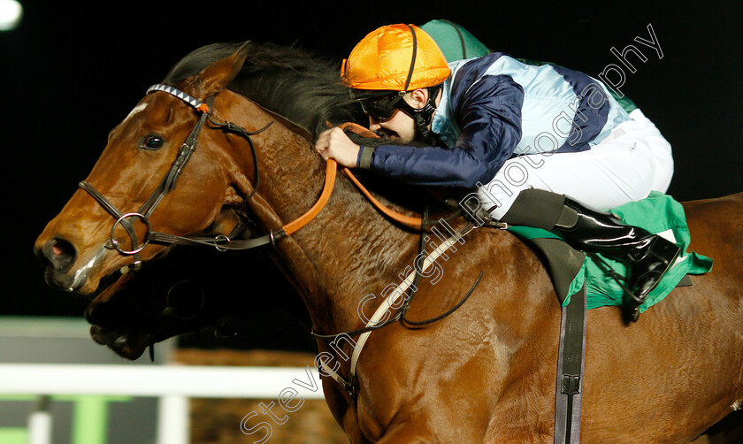 Madame-Tantzy-0006 
 MADAME TANTZY (Charles Bishop) wins The 32Red On The App Store Fillies Novice Stakes Div2
Kempton 23 Mar 2019 - Pic Steven Cargill / Racingfotos.com