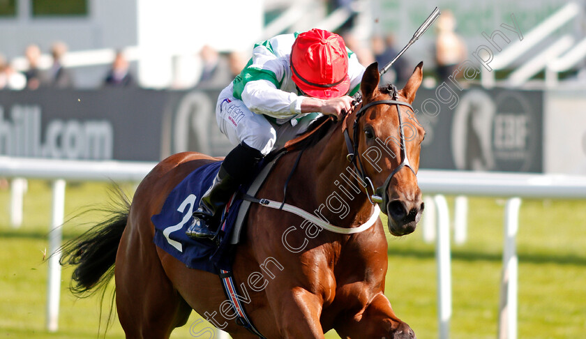 Ellthea-0003 
 ELLTHEA (Clifford Lee) wins The EBF British Stallion Studs Carrie Red Fillies Nursery Doncaster 14 Sep 2017 - Pic Steven Cargill / Racingfotos.com