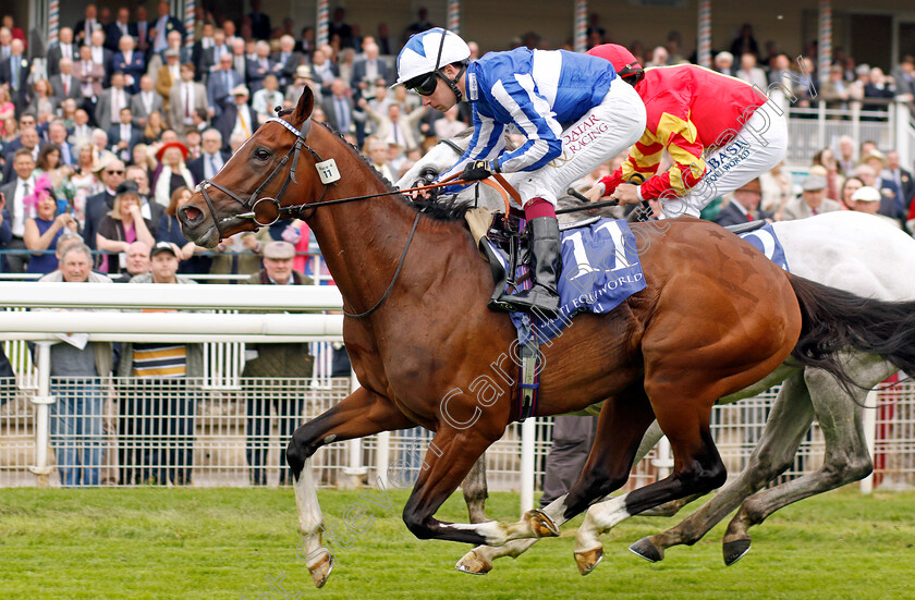 The-Foxes-0001 
 THE FOXES (Oisin Murphy) wins The Al Basti Equiworld Dubai Dante Stakes
York 18 May 2023 - Pic Steven Cargill / Racingfotos.com