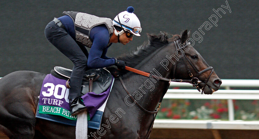 Beach-Patrol-0001 
 BEACH PATROL training for The Breeders' Cup Turf at Del Mar USA 31 Oct 2017 - Pic Steven Cargill / Racingfotos.com