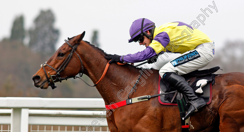 Happy-Diva-0006 
 HAPPY DIVA (Richard Patrick) wins The Geotech Soil Stabilisation Novices Chase Ascot 25 Mar 2018 - Pic Steven Cargill / Racingfotos.com