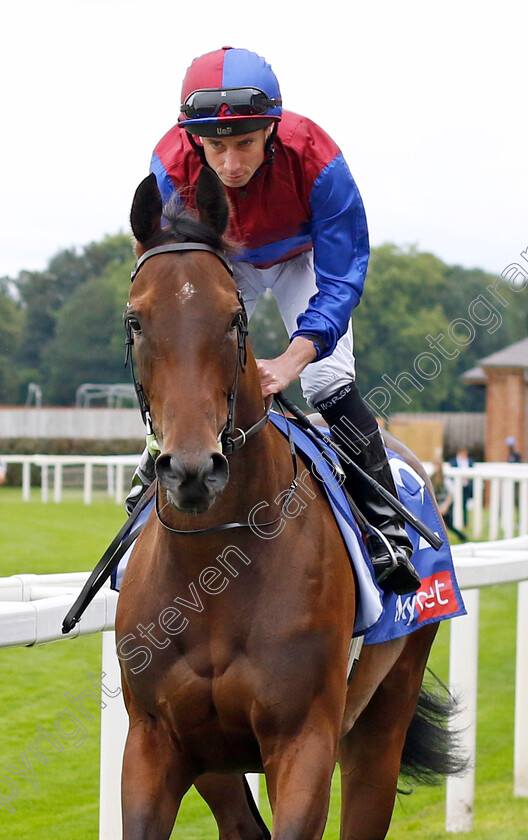 Cherry-Blossom-0002 
 CHERRY BLOSSOM (Ryan Moore)
York 24 Aug 2023 - Pic Steven Cargill / Racingfotos.com