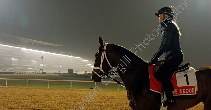 Life-Is-Good-0008 
 LIFE IS GOOD training for the Dubai World Cup
Meydan, Dubai, 22 Mar 2022 - Pic Steven Cargill / Racingfotos.com