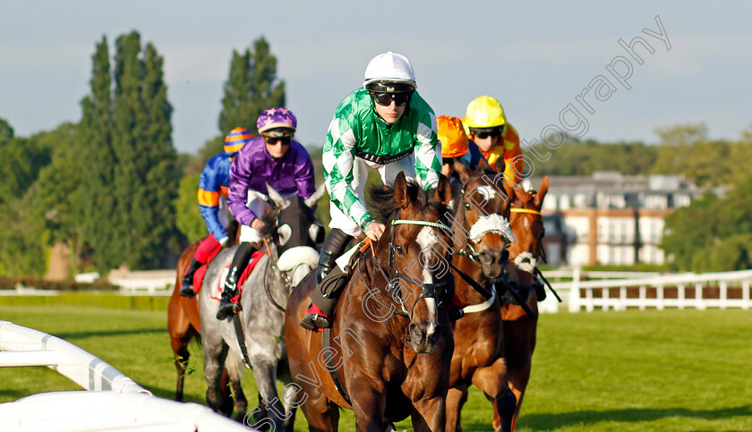 Roberto-Escobarr-0005 
 ROBERTO ESCOBARR (Richard Kingscote) wins The Racehorse Lotto Henry II Stakes
Sandown 25 May 2023 - Pic Steven Cargill / Racingfotos.com