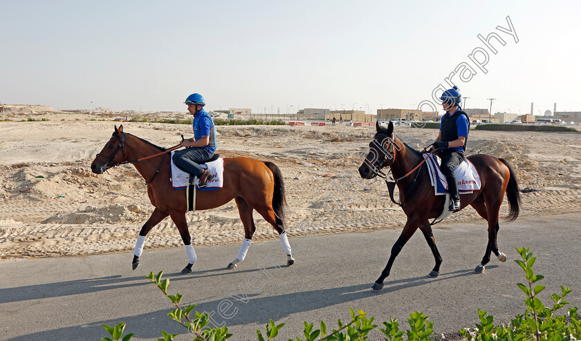 Dubai-Future-and-Zakouski-0001 
 DUBAI FUTURE and ZAKOUSKI exercising in preparation for Friday's Bahrain International Trophy
Sakhir Racecourse, Bahrain 17 Nov 2021 - Pic Steven Cargill / Racingfotos.com