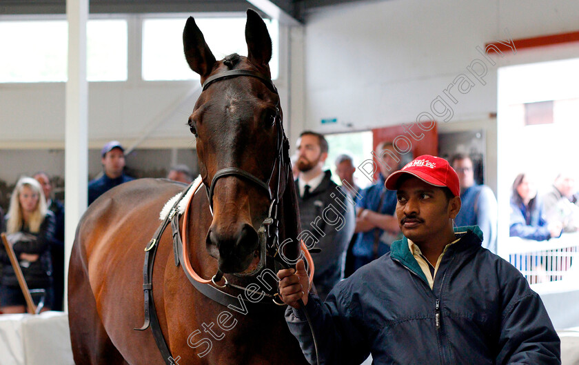 Lot-0098-Sugar-Baron-0002 
 Top Lot 098 SUGAR BARON selling for £28,000 at Tattersalls Ireland Ascot Sale
5 Jun 2018 - Pic Steven Cargill / Racingfotos.com