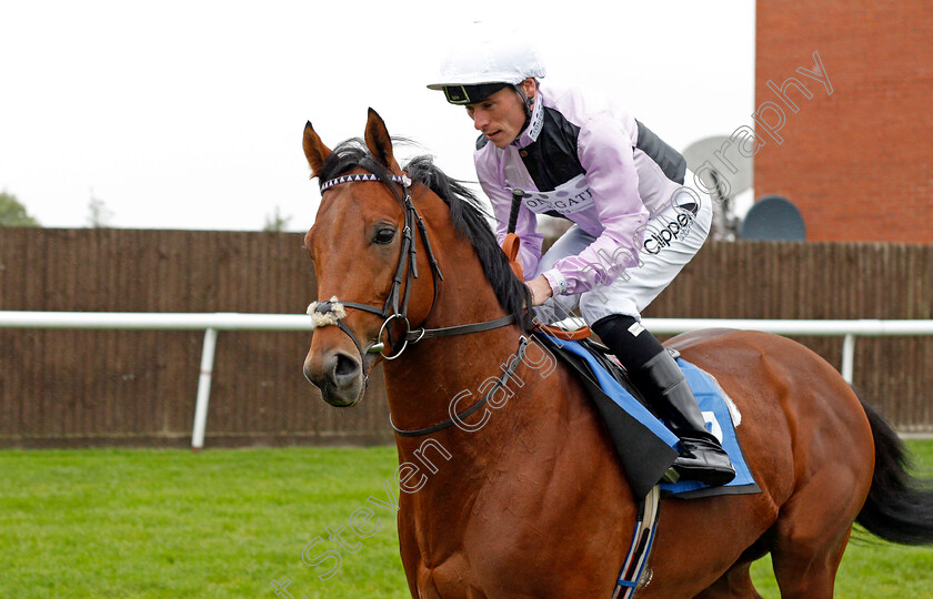 Dream-Show 
 DREAM SHOW (Kieran Shoemark)
Leicester 12 Oct 2021 - Pic Steven Cargill / Racingfotos.com