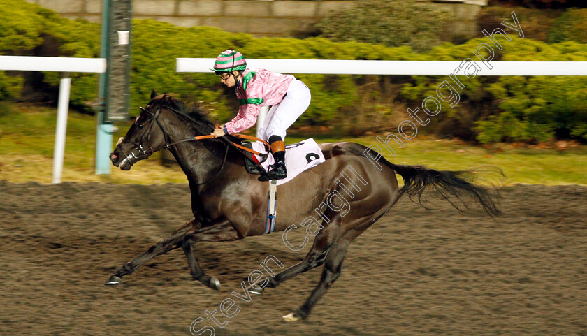 Cool-Breeze-0004 
 COOL BREEZE (Milly Naseb) wins The 32Red Casino Fillies Handicap Kempton 20 Dec 2017 - Pic Steven Cargill / Racingfotos.com