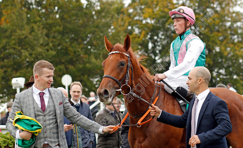 Quadrilateral-0007 
 QUADRILATERAL (Jason Watson) after winning The bet365 Fillies Mile
Newmarket 11 Oct 2019 - Pic Steven Cargill / Racingfotos.com