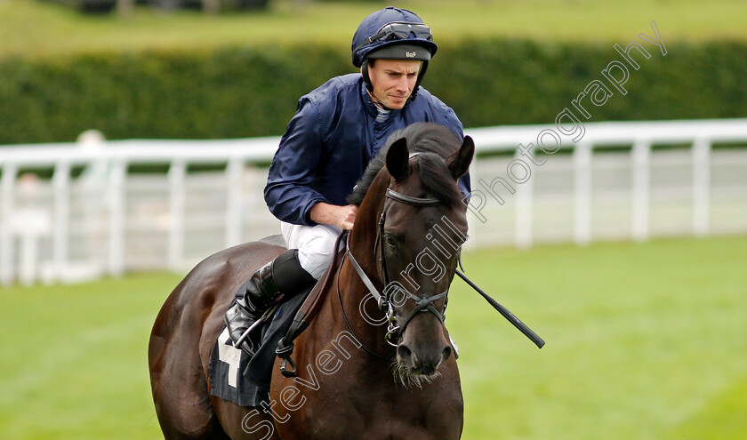 Mountain-Bear-0002 
 MOUNTAIN BEAR (Ryan Moore)
Goodwood 1 Aug 2023 - Pic Steven Cargill / Racingfotos.com