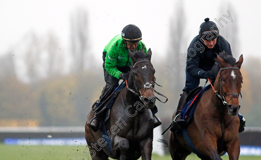 Constitution-Hill-and-Sir-Gino-0001 
 CONSTITUTION HILL (left, Nico de Boinville) with SIR GINO (right, James Bowen)
Coral Gold Cup gallops morning Newbury 19 Nov 20234 - Pic Steven Cargill / Racingfotos.com