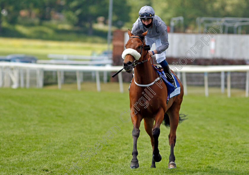 Fighter-Pilot-0001 
 FIGHTER PILOT (Sam James)
York 12 Jun 2021 - Pic Steven Cargill / Racingfotos.com