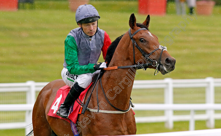 Houndsworth-0001 
 HOUNDSWORTH (Jamie Spencer)
Sandown 25 Jul 2024 - Pic Steven Cargill / Racingfotos.com