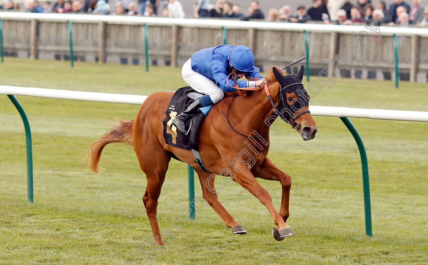 Chasing-Dreams-0003 
 CHASING DREAMS (William Buick) wins The bet365 British EBF Maiden Fillies Stakes
Newmarket 16 Apr 2019 - Pic Steven Cargill / Racingfotos.com