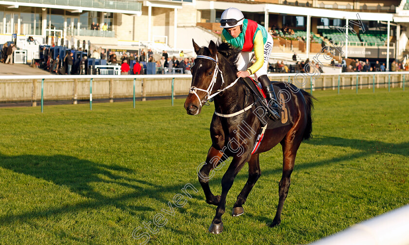 At-Vimeiro-0001 
 AT VIMEIRO (Ryan Moore)
Newmarket 25 Oct 2023 - Pic Steven Cargill / Racingfotos.com