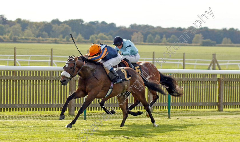 Nate-The-Great-0003 
 NATE THE GREAT (William Buick) wins The Jockey Club Rose Bowl Stakes
Newmarket 22 Sep 2022 - Pic Steven Cargill / Racingfotos.com