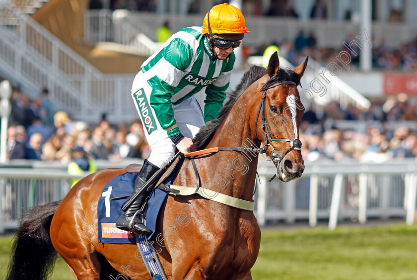 Authorised-Speed-0001 
 AUTHORISED SPEED (Jamie Moore)
Aintree 15 Apr 2023 - Pic Steven Cargill / Racingfotos.com