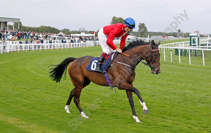 Persist-0001 
 PERSIST (Cieren Fallon)
Yarmouth 20 Sep 2023 - Pic Steven Cargill / Racingfotos.com