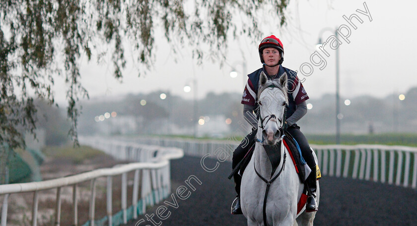 Lord-Glitters-0006 
 LORD GLITTERS training for The Dubai Turf
Meydan, Dubai, 24 Mar 2022 - Pic Steven Cargill / Racingfotos.com