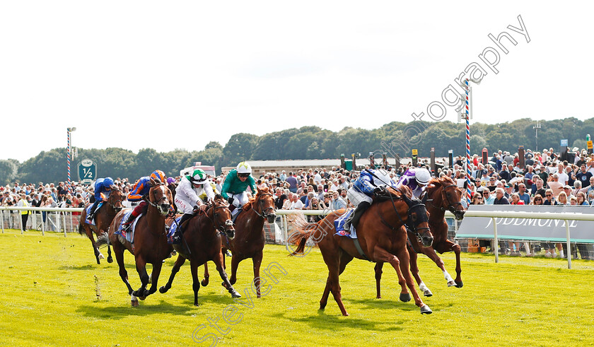 Yibir-0001 
 YIBIR (James Doyle) wins The Sky Bet Great Voltigeur Stakes
York 18 Aug 2021 - Pic Steven Cargill / Racingfotos.com