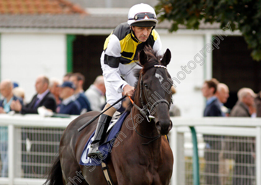 Launceston-Place-0001 
 LAUNCESTON PLACE (Ted Durcan) Yarmouth 20 Sep 2017 - Pic Steven Cargill / Racingfotos.com