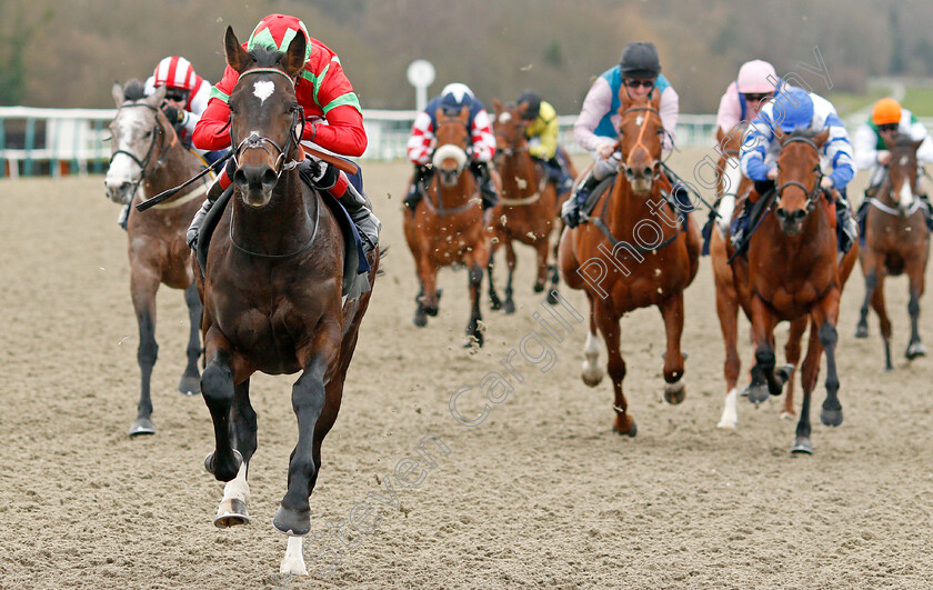 Cable-Speed-0008 
 CABLE SPEED (Ben Curtis) wins The Ladbrokes Where The Nation Plays Novice Median Auction Stakes Div1
Lingfield 4 Jan 2020 - Pic Steven Cargill / Racingfotos.com